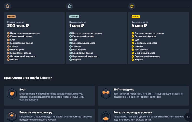 Бонусная программа в Селектор Бонусная программа в Селектор